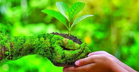 Biodiversity Protection