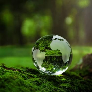 Environment